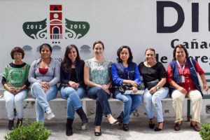 Especialistas de UNOPS con regidoras de Cañadas de Obregón para abordar el análisis de género y los​